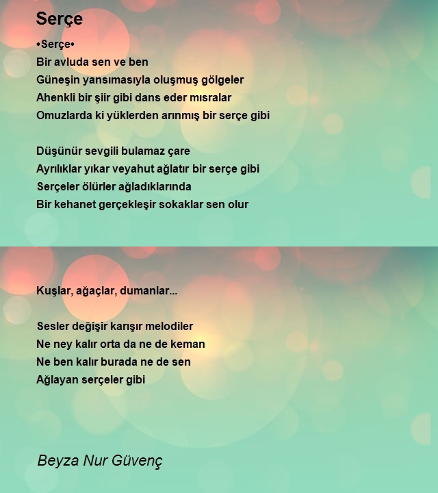 Beyza Nur Güvenç