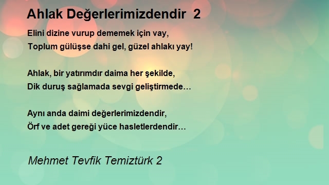 Mehmet Tevfik Temiztürk 2