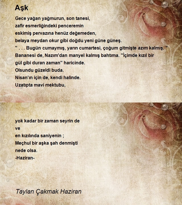 Taylan Çakmak Haziran