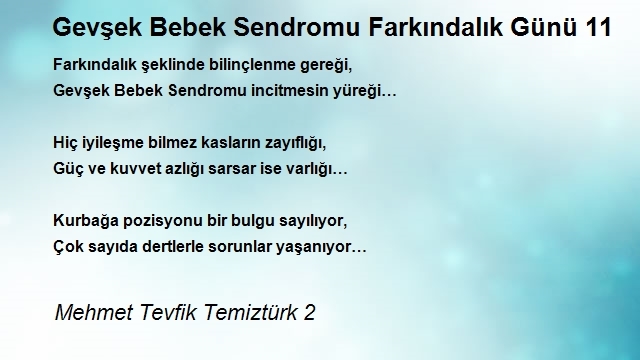 Mehmet Tevfik Temiztürk 2