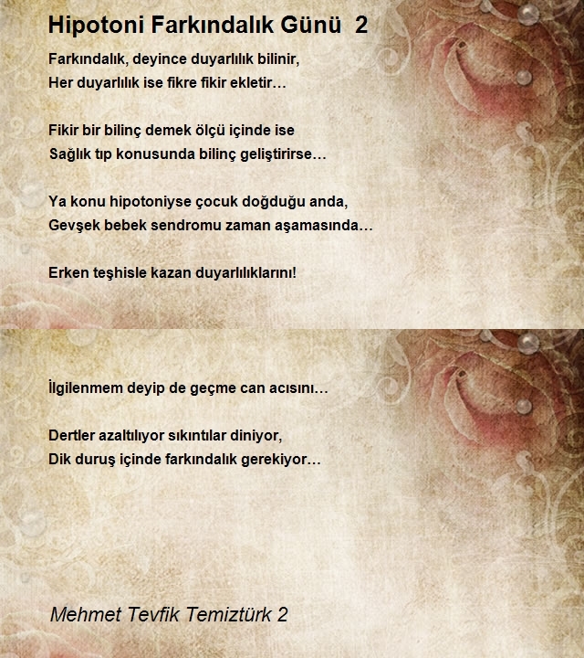 Mehmet Tevfik Temiztürk 2