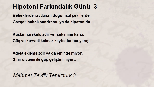 Mehmet Tevfik Temiztürk 2