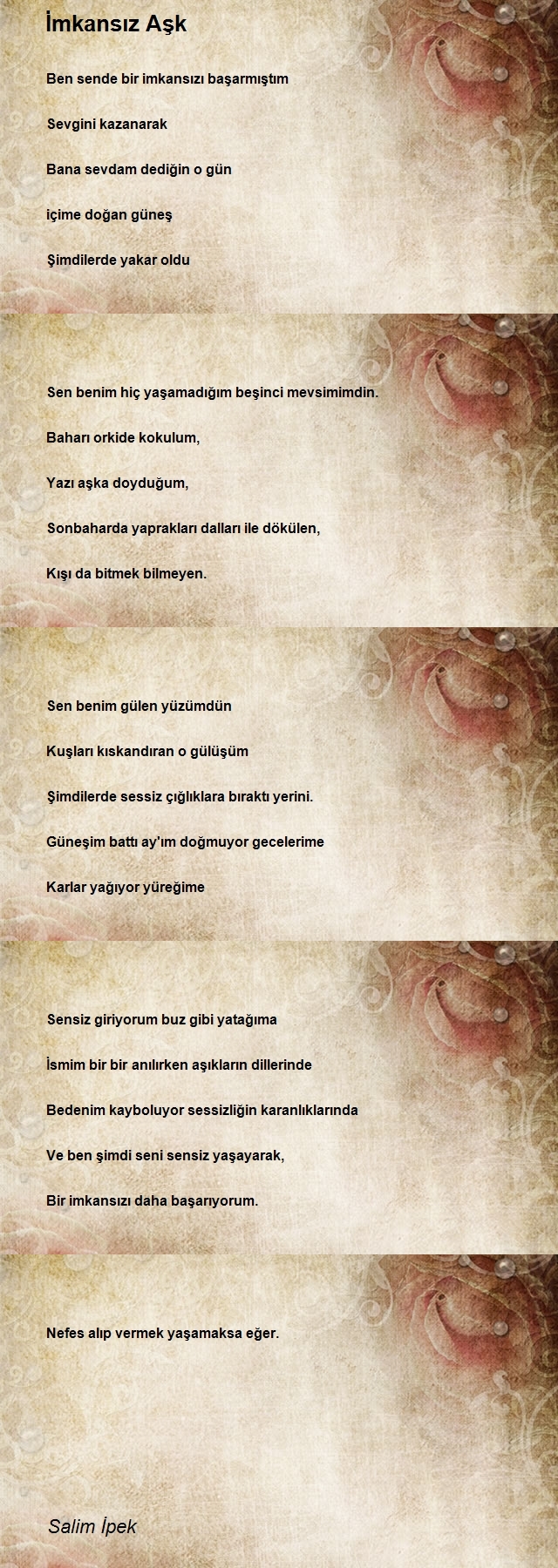 Salim İpek