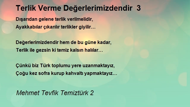 Mehmet Tevfik Temiztürk 2