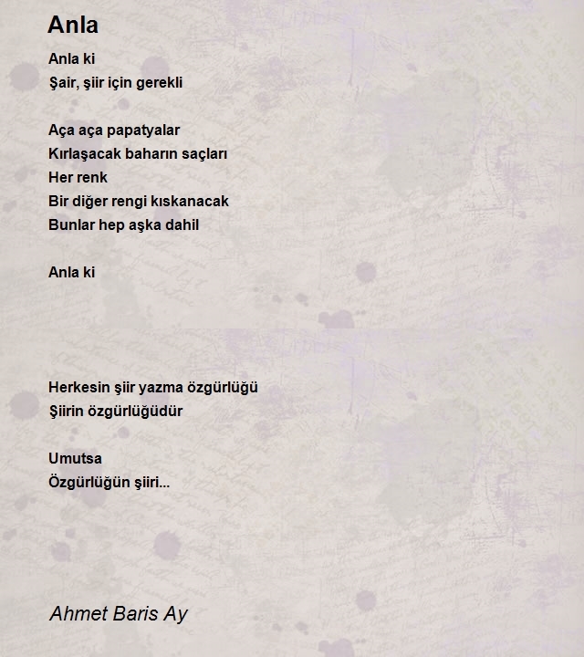 Ahmet Baris Ay