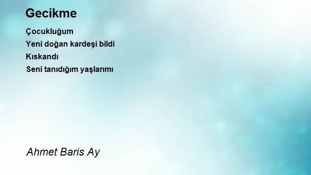 Ahmet Baris Ay