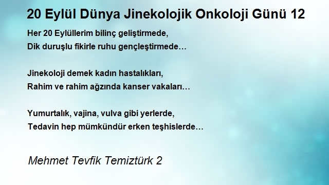 Mehmet Tevfik Temiztürk 2