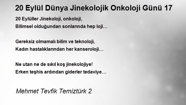 Mehmet Tevfik Temiztürk 2