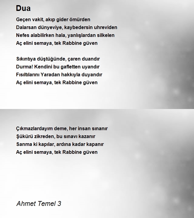 Ahmet Temel 3