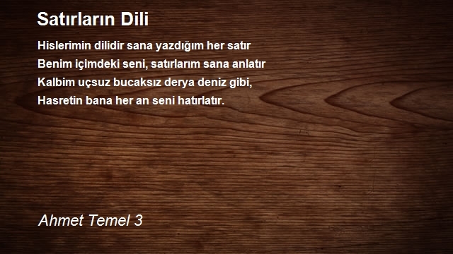 Ahmet Temel 3