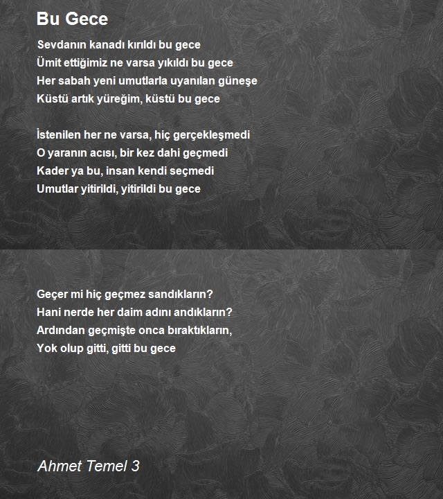 Ahmet Temel 3