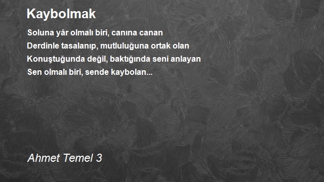 Ahmet Temel 3