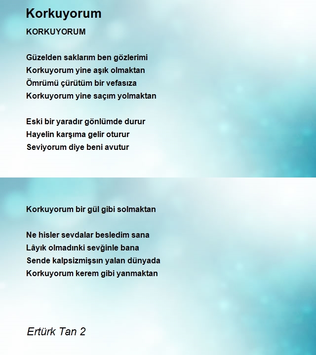 Ertürk Tan 2