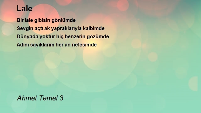 Ahmet Temel 3