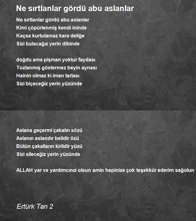 Ertürk Tan 2