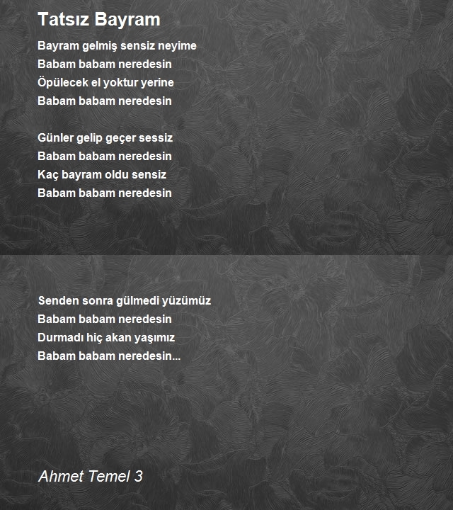 Ahmet Temel 3