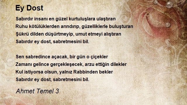 Ahmet Temel 3