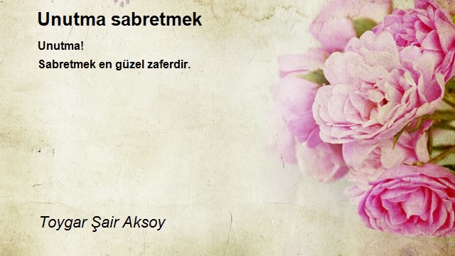 Toygar Şair Aksoy