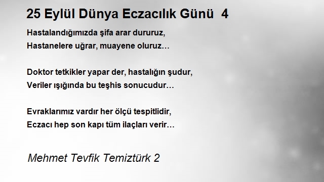 Mehmet Tevfik Temiztürk 2