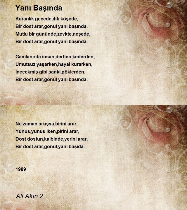 Ali Akın 2