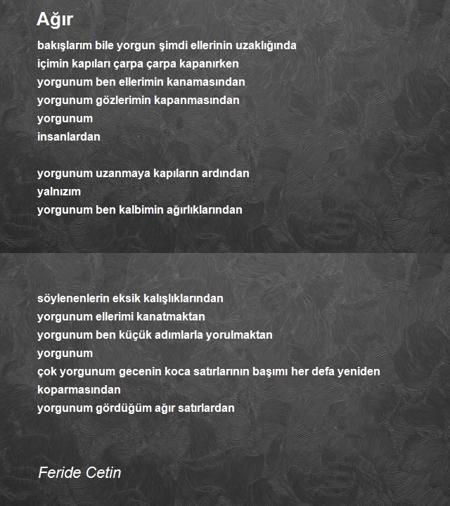 Feride Cetin