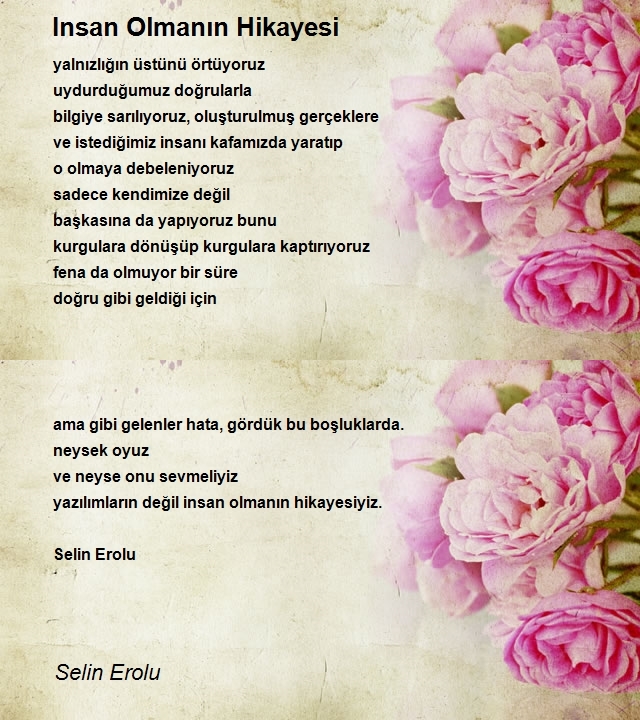 Selin Erolu