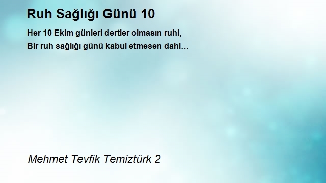 Mehmet Tevfik Temiztürk 2