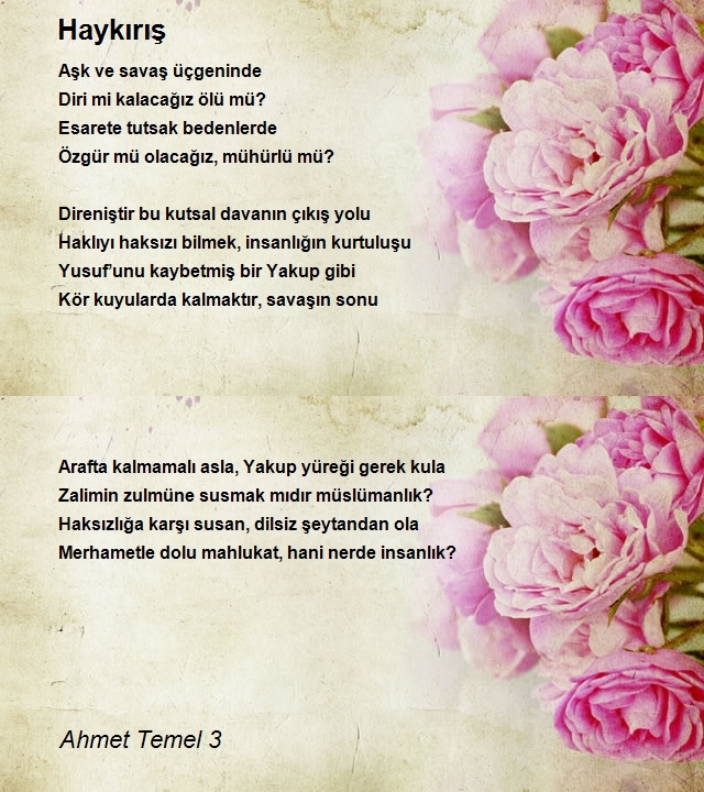 Ahmet Temel 3