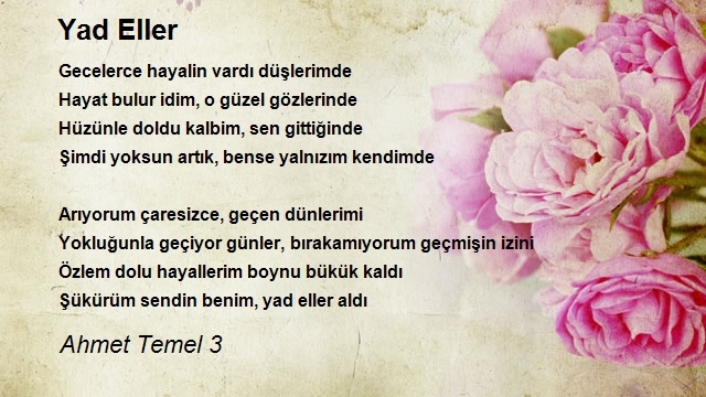 Ahmet Temel 3