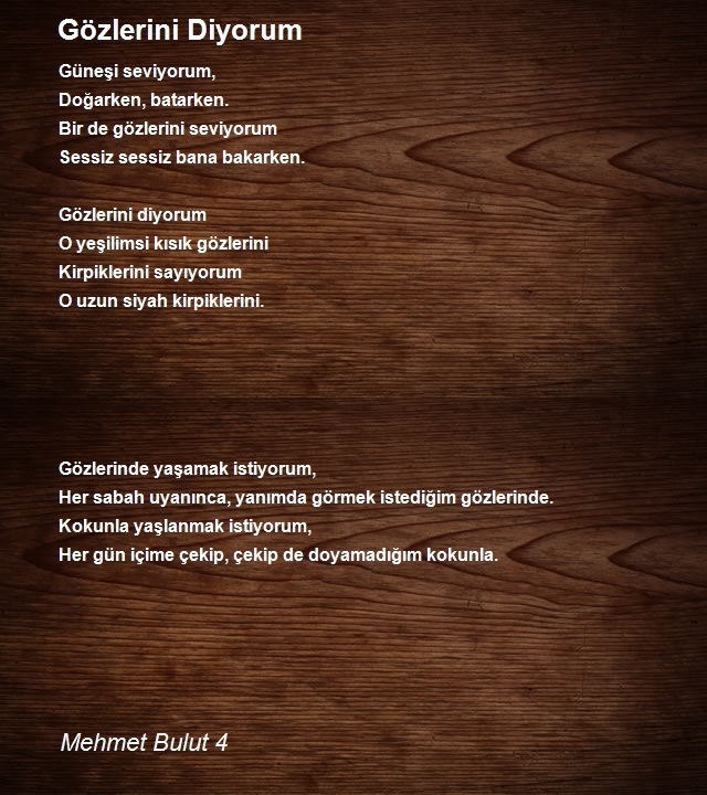 Mehmet Bulut 4