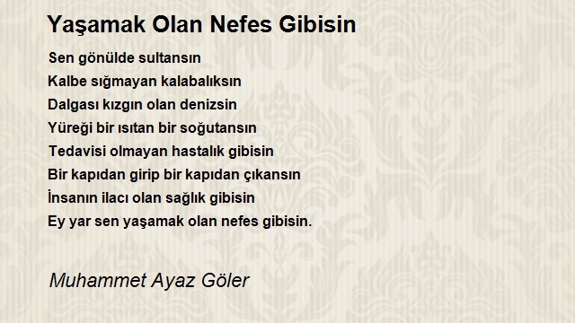 Muhammet Ayaz Göler