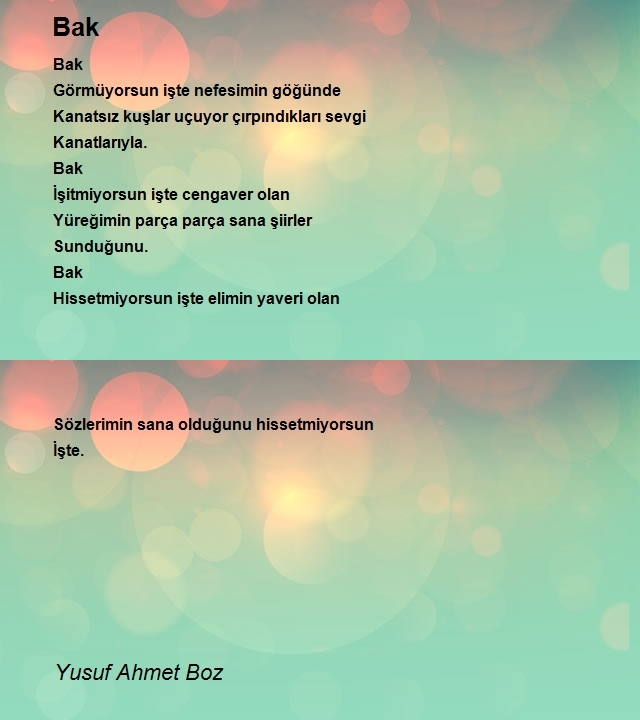 Yusuf Ahmet Boz