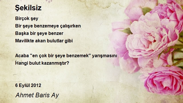 Ahmet Baris Ay