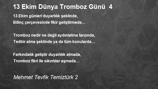 Mehmet Tevfik Temiztürk 2