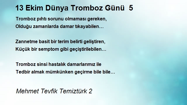 Mehmet Tevfik Temiztürk 2