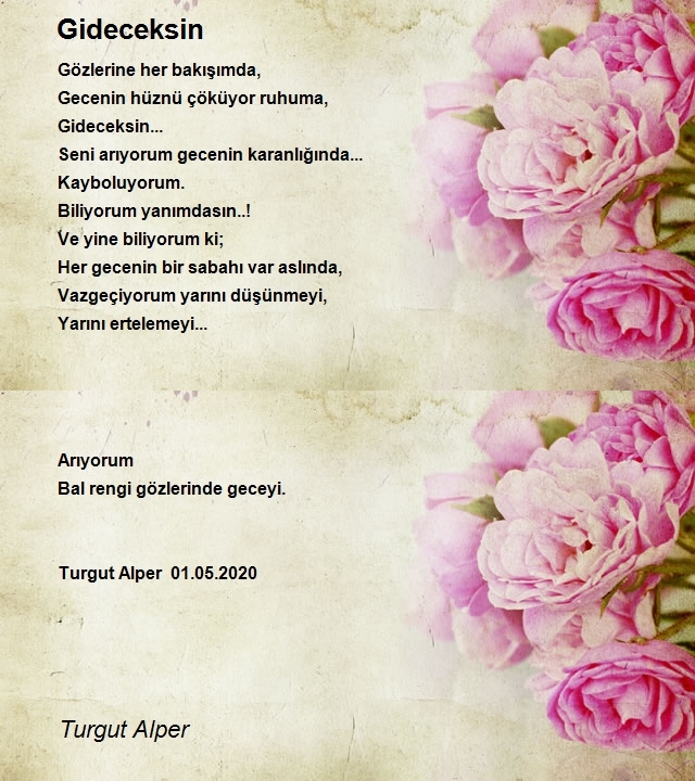 Turgut Alper