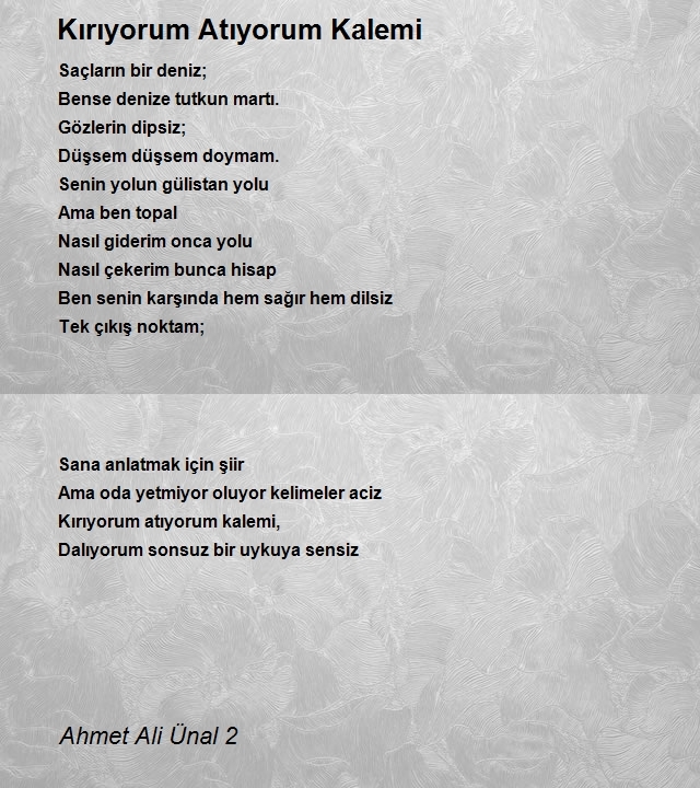 Ahmet Ali Ünal 2