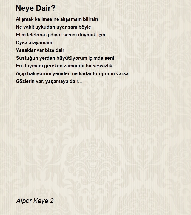 Alper Kaya 2