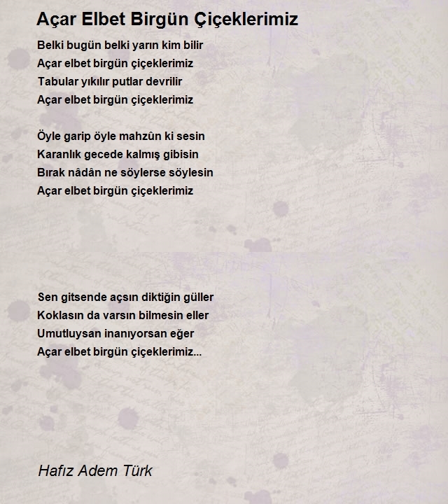 Hafız Adem Enes Türk