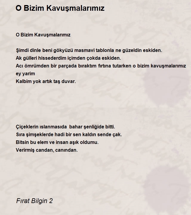 Fırat Bilgin 2