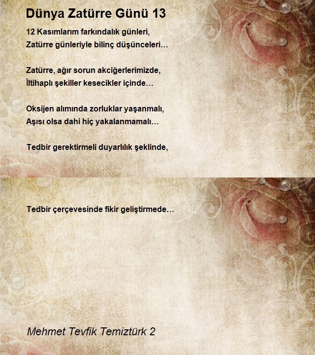 Mehmet Tevfik Temiztürk 2