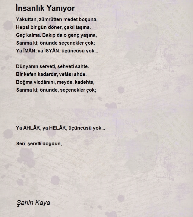 Şahin Kaya