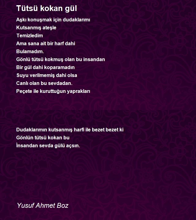 Yusuf Ahmet Boz