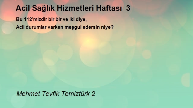 Mehmet Tevfik Temiztürk 2