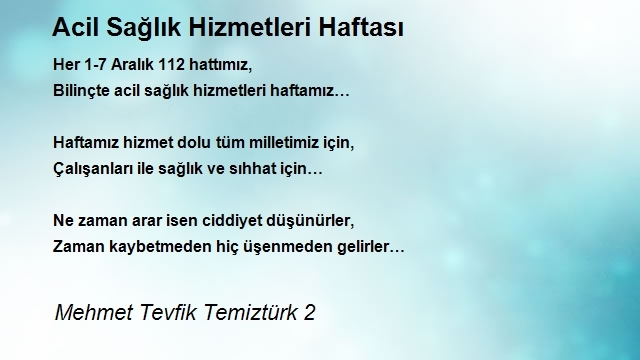 Mehmet Tevfik Temiztürk 2