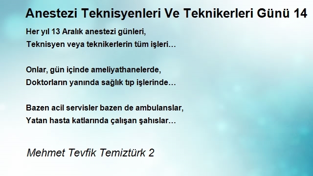 Mehmet Tevfik Temiztürk 2