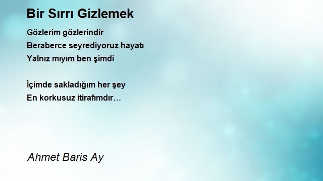 Ahmet Baris Ay