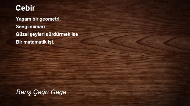 Barış Çağrı Gaga