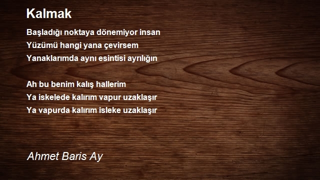 Ahmet Baris Ay