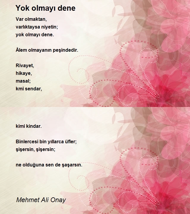 Mehmet Ali Onay